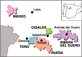 Udvalg af Spansk Do Bierzo vin